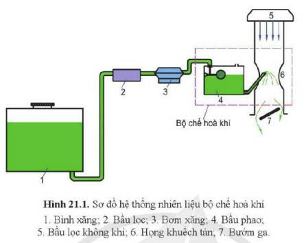 Lý thuyết Công nghệ 11 Cánh Diều Bài 21 (ảnh 1)