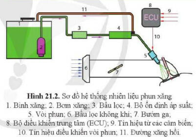 Lý thuyết Công nghệ 11 Cánh Diều Bài 21 (ảnh 2)
