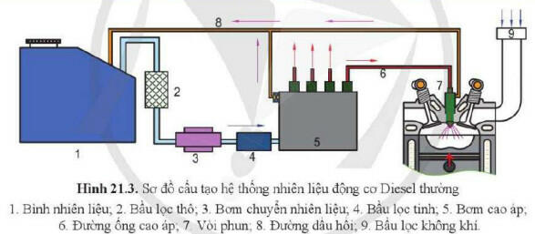 Lý thuyết Công nghệ 11 Cánh Diều Bài 21 (ảnh 3)
