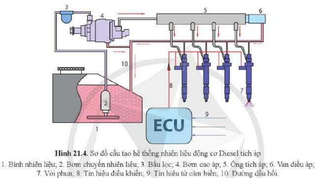 Lý thuyết Công nghệ 11 Cánh Diều Bài 21 (ảnh 4)