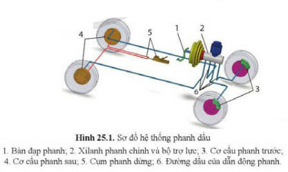 Lý thuyết Công nghệ 11 Cánh Diều Bài 25 (ảnh 1)