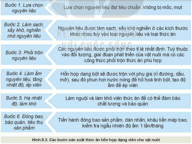 Lý thuyết Công nghệ 11 Kết nối tri thức Bài 8: Sản xuất và chế biến thức ăn vật nuôi