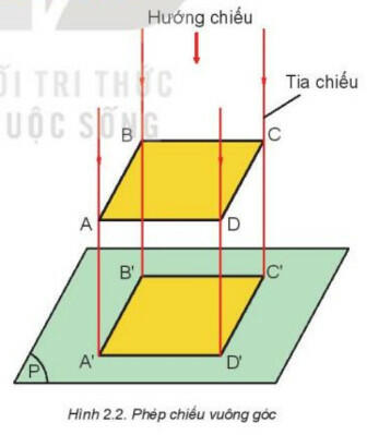 Lý thuyết Công nghệ 8 Kết nối tri thức Bài 2