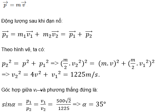 Lý thuyết Động lượng - Định luật bảo toàn động lượng (ảnh 13)