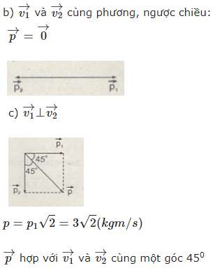 Lý thuyết Động lượng - Định luật bảo toàn động lượng (ảnh 9)