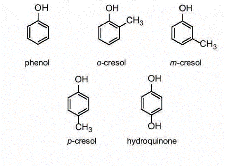 Lý thuyết Hóa 11 Kết nối tri thức Bài 21: Phenol