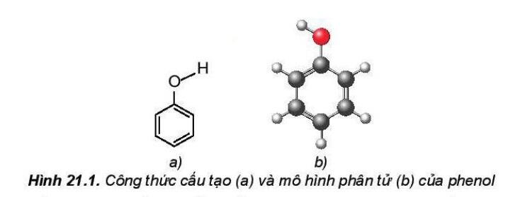 Lý thuyết Hóa 11 Kết nối tri thức Bài 21: Phenol (ảnh 2)