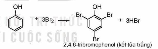 Lý thuyết Hóa 11 Kết nối tri thức Bài 21: Phenol (ảnh 3)