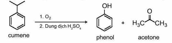 Lý thuyết Hóa 11 Kết nối tri thức Bài 21: Phenol (ảnh 5)