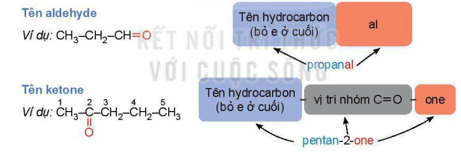 Lý thuyết Hóa 11 Kết nối tri thức Bài 23: Hợp chất Carbonyl