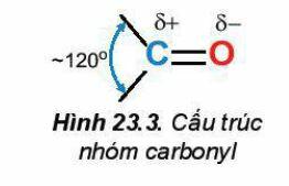 Lý thuyết Hóa 11 Kết nối tri thức Bài 23: Hợp chất Carbonyl (ảnh 2)