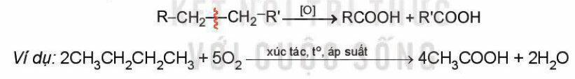 Lý thuyết Hóa 11 Kết nối tri thức Bài 24: Carboxylic Acid (ảnh 7)