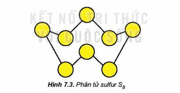 Lý thuyết Hóa 11 Kết nối tri thức Bài 7: Sulfur và Sulfur Dioxide (ảnh 2)