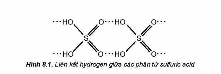 Lý thuyết Hóa 11 Kết nối tri thức Bài 8: Sulfuric Acid và muối Sulfate (ảnh 2)