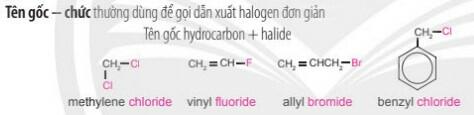 Lý thuyết Hóa học 11 Chân trời sáng tạo Bài 15 Dẫn xuất Halogen