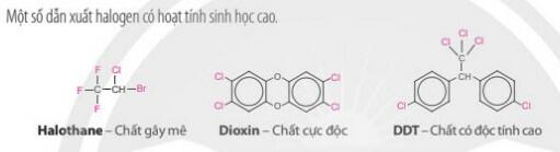 Lý thuyết Hóa học 11 Chân trời sáng tạo Bài 15 Dẫn xuất Halogen
