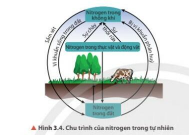 Lý thuyết Hóa học 11 Chân trời sáng tạo Bài 3
