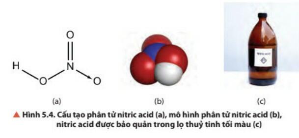 Lý thuyết Hóa học 11 Chân trời sáng tạo Bài 5 Một số hợp chất với Oxygen của Nitrogen