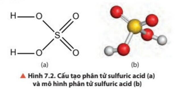  Lý thuyết Hóa học 11 Chân trời sáng tạo Bài 7 Sulfuric Acid và Muối Sulfate