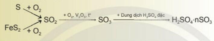  Lý thuyết Hóa học 11 Chân trời sáng tạo Bài 7 Sulfuric Acid và Muối Sulfate