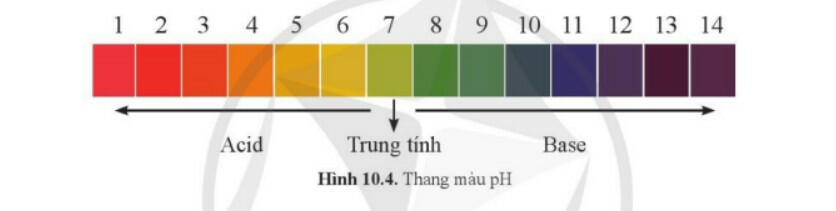 Thang pH