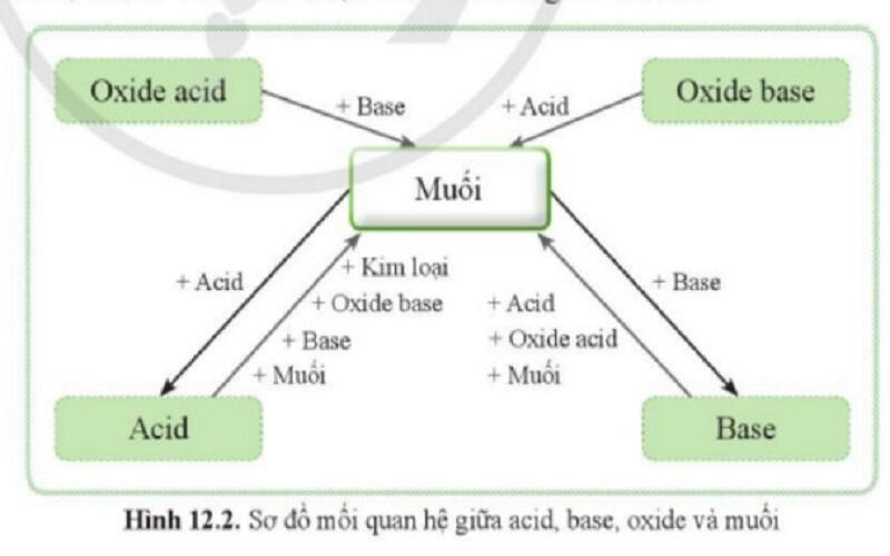 Mối quan hệ giữa acid, base, oxide và muối