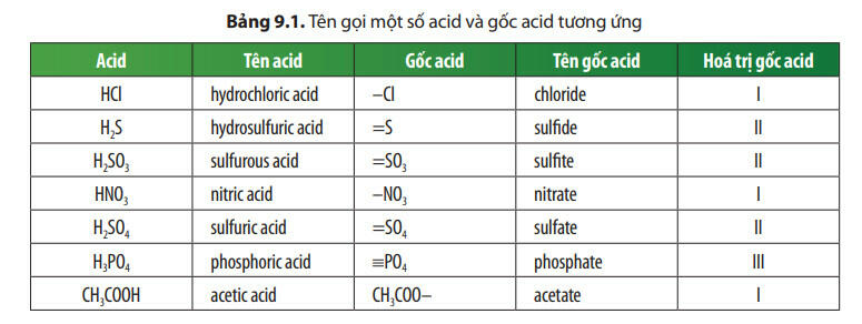 Lý thuyết Khoa học tự nhiên 8 Chân trời sáng tạo Bài 9: Acid