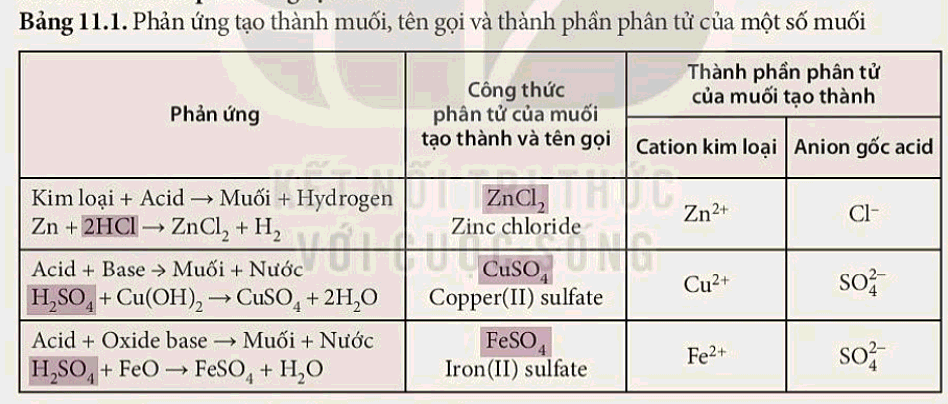 Lý thuyết Khoa học tự nhiên 8 Kết nối tri thức Bài 11 (ảnh 1)