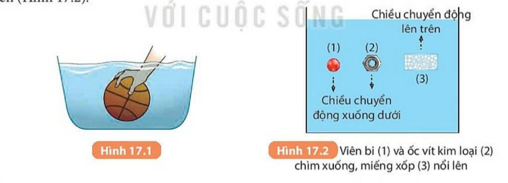 Lý thuyết Khoa học tự nhiên 8 Kết nối tri thức Bài 17