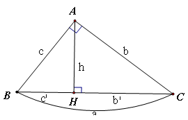Lý thuyết một số hệ thức về cạnh và đường cao trong tam giác vuông (ảnh 2)