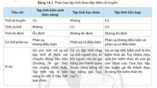 Lý thuyết Sinh học 11 Cánh Diều Bài 14: Tập tính ở động vật