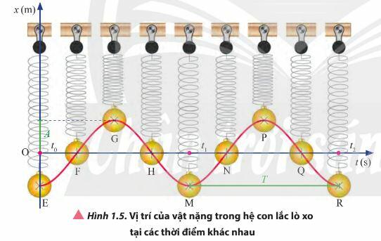 Lý thuyết Vật lí 11 Chân trời sáng tạo Bài 1: Mô tả dao động (ảnh 3)