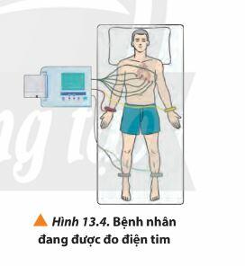 Lý thuyết Vật lí 11 Chân trời sáng tạo Bài 13: Điện thế và thế năng điện