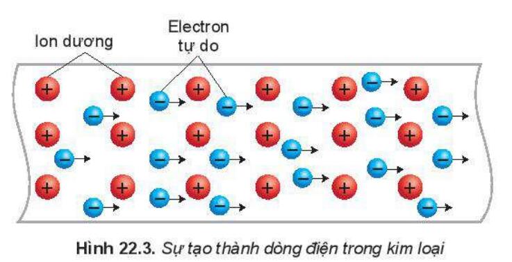 Lý thuyết Vật lý 11 Kết nối tri thức Bài 22: Cường độ dòng điện hình 2