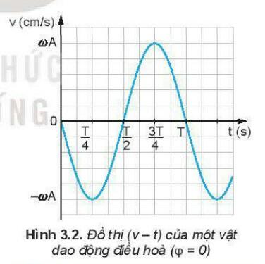 Lý thuyết Vật lý 11 Kết nối tri thức Bài 3: Vận tốc, gia tốc trong dao động điều hoà hình 2
