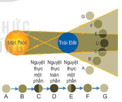 Mặt Trăng, Trái Đất đều tự quay quanh trục đi qua tâm của nó và cùng chuyển động xung quanh Mặt Trời đã tạo ra nhiều hiện tượng thiên nhiên. Vậy, bản chất và thời điểm xảy các hiện tượng này như thế nào, chúng ta có dự đoán được không?