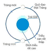 Mặt Trăng, Trái Đất đều tự quay quanh trục đi qua tâm của nó và cùng chuyển động xung quanh Mặt Trời đã tạo ra nhiều hiện tượng thiên nhiên. Vậy, bản chất và thời điểm xảy các hiện tượng này như thế nào, chúng ta có dự đoán được không?