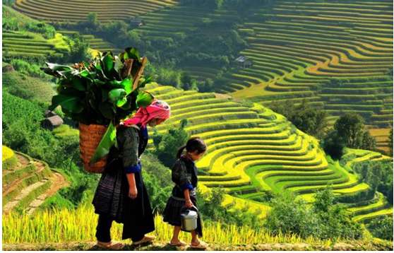 Mở bài khổ thơ 7 Việt Bắc hay nhất
