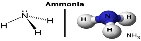 Mô tả và giải thích hiện tượng xảy ra trong thí nghiệm chứng minh rằng amoniac tan nhiều trong nước?