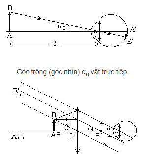 Một kính lúp có số bội giác 5x, tiêu cự của kính lúp có giá trị là (ảnh 3)