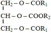 Một phân tử lipit đơn giản mỡ dầu bao gồm những thành phần nào? (ảnh 2)