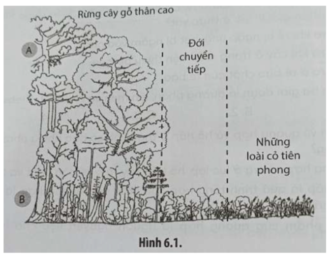 Bài 6.13 trang 22 SBT Sinh học 11: Một thực nghiệm được tiến hành tại một khu rừng để đo nồng độ CO2 ở hai vị trí A và B ở các thời điểm khác nhau trong ngày (Hình 6.1)