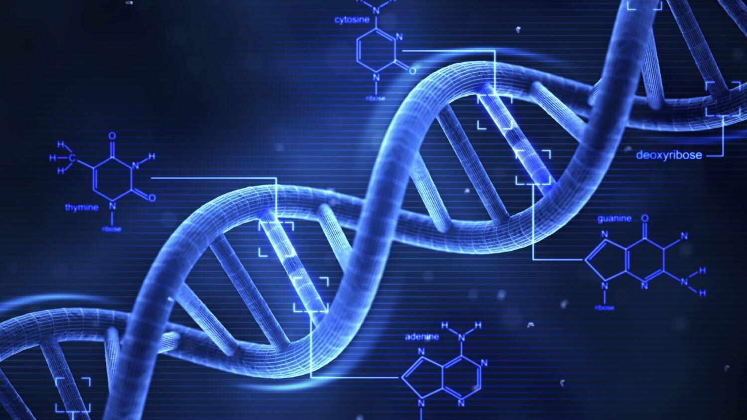 Nếu các phân tử DNA luôn tái bản một cách tuyệt đối chính xác thì thế giới sống có liên tục tiến hóa được không?