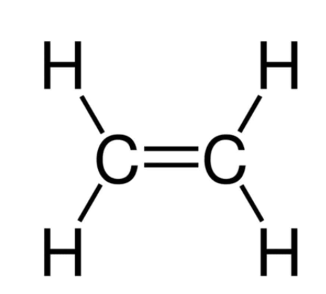 Nêu các ứng dụng của etilen? (ảnh 2)