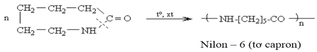 Nêu cấu tạo và tính chất của Polime đầy đủ nhất (hình 11).