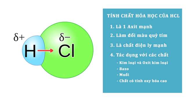 Nêu đặc điểm cấu tạo phân tử và tính chất vật lý của hiđroclorua? (ảnh 3)