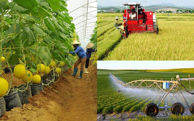 Nêu những lợi thế để phát triển trồng trọt của Việt Nam.