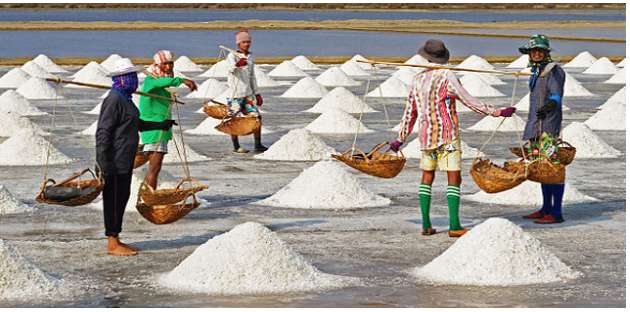 Có những công dụng gì của muối natri clorua?
