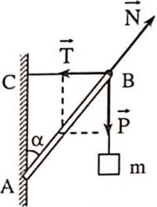 Nêu quy tắc Tìm hợp lực của hai lực có giá đồng quy (ảnh 5)