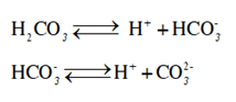 Nêu trạng thái tự nhiên và các tính chất vật lý của axit cacbonic (H2CO3) (ảnh 2)